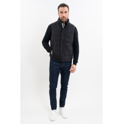 Chinohose Harcour Adam
