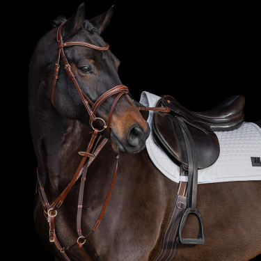 Satteldecke HV Polo Dae GP Satteldecke HV Polo Dae GP
