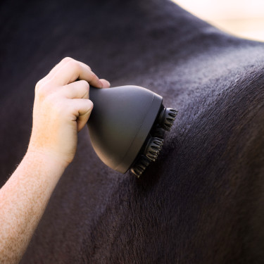 Massagegerät für Pferde Imperial Riding Volta Grooming & Relaxation