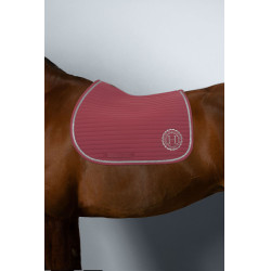 Satteldecke Rider Harcour Karembar