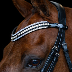 Stirnband Imperial Riding Maxima