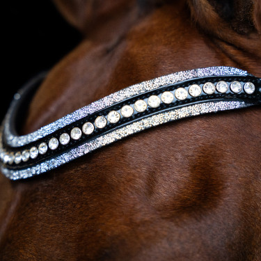 Stirnband Imperial Riding Maxima