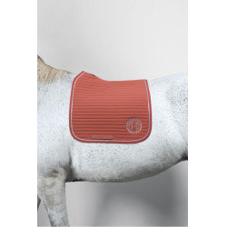 Satteldecke Rider Harcour Karembar