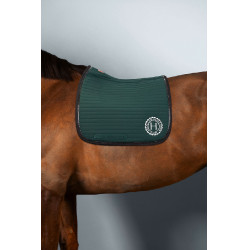 Satteldecke Rider Harcour Karembar