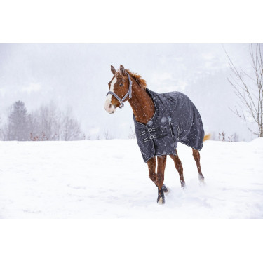 Wasserdichte Riding World Oxford-Decke mit Fleecefutter Wasserdichte Riding World Oxford-Decke mit Fleecefutter