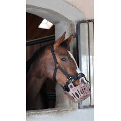 Weidekorb fürs Pferd 25 mm Lami‑Cell – Reitzubehör