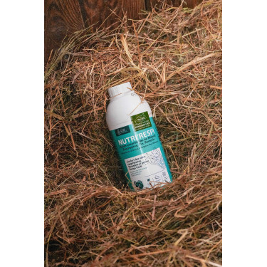 Nutri’Respi Ravene – Atemwegssupport für Pferde | Equi-Clic Nutri’Respi Ravene – Atemwegssupport für Pferde | Equi-Clic