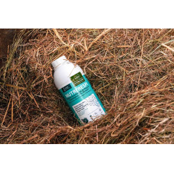 Nutri’Respi Ravene – Atemwegssupport für Pferde | Equi-Clic Nutri’Respi Ravene – Atemwegssupport für Pferde | Equi-Clic