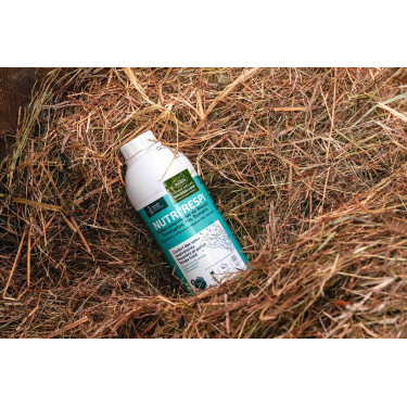 Nutri’Respi Ravene – Atemwegssupport für Pferde | Equi-Clic Nutri’Respi Ravene – Atemwegssupport für Pferde | Equi-Clic