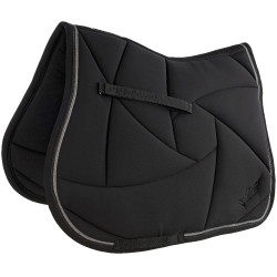 Lamicell Satteldecke V22 Picasso