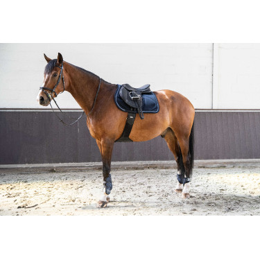 Lamicell Satteldecke V22 Picasso