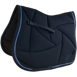 Lamicell Satteldecke V22 Picasso