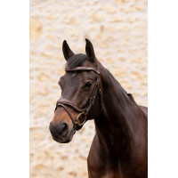 K by Equithème Trense K-Kontour
