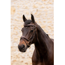K by Equithème Trense K-Kontour K by Equithème Trense K-Kontour