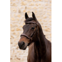 K by Equithème Trense K-Konnect