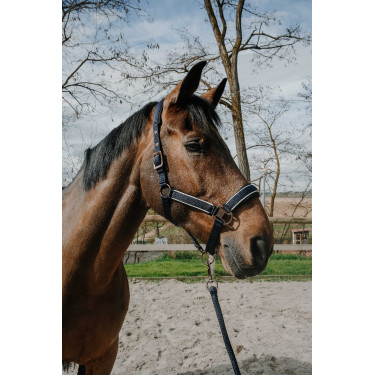 Halfter + Führstrick Equithème Coco