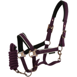 Halfter + Führstrick Equithème Coco