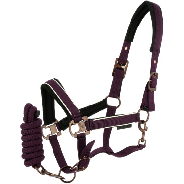 Halfter + Führstrick Equithème Coco