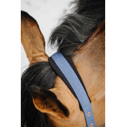 Halfter + Führstrick Equithème Coco