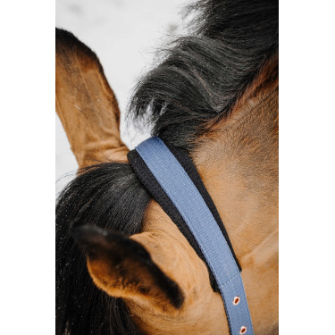 Halfter + Führstrick Equithème Coco