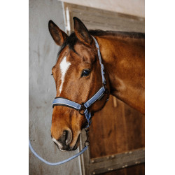 Halfter + Führstrick Equithème Coco