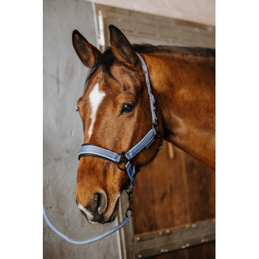 Halfter + Führstrick Equithème Coco