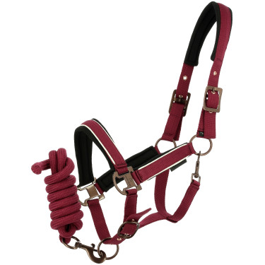 Halfter + Führstrick Equithème Coco