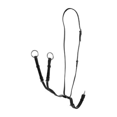 Martingal mit Lederhalsband, verstellbare Schnallen