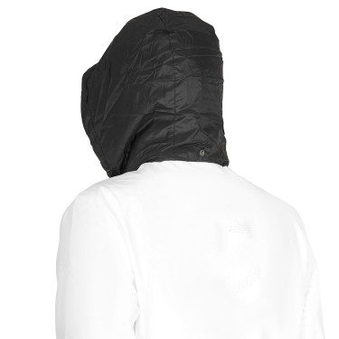 Herren-Softshell mit Logo auf dem Rücken