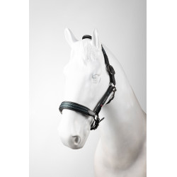 Lederhalfter fürs Pferd – B Vertigo Lennox | Equi-Clic