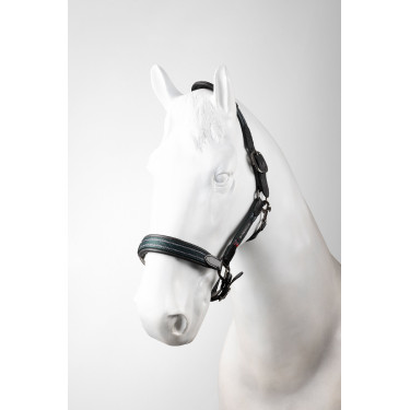 Lederhalfter fürs Pferd – B Vertigo Lennox | Equi-Clic