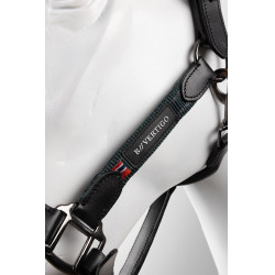 Lederhalfter fürs Pferd – B Vertigo Lennox | Equi-Clic