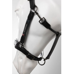 Lederhalfter fürs Pferd – B Vertigo Lennox | Equi-Clic