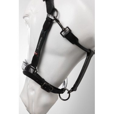 Lederhalfter fürs Pferd – B Vertigo Lennox | Equi-Clic