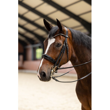 Horze Glamourdale Weymouth Trense – Reittrense