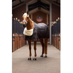 Horze Schulterprotektor für Pferde – Reibungsschutz Reiten