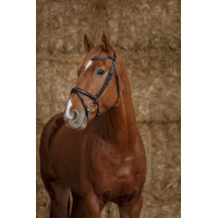 Bridon Norton Pro  Perle Noir