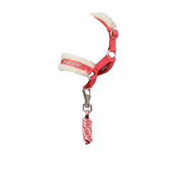 LeMieux Spielzeugpony Halfter & Führstrick Coral Crush