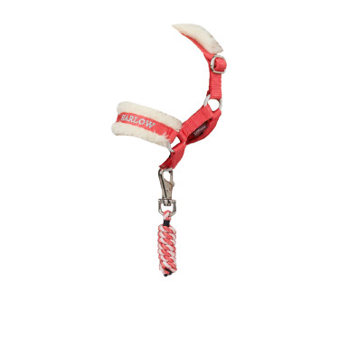 LeMieux Spielzeugpony Halfter & Führstrick Coral Crush