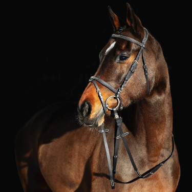 Trense Constance Horze Schwarz Trense Constance Horze Schwarz