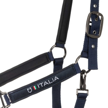 Equestro x FISE Halfter – verstellbares Reithalfter Equestro x FISE Halfter – verstellbares Reithalfter