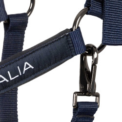 Equestro x FISE Halfter – verstellbares Reithalfter Equestro x FISE Halfter – verstellbares Reithalfter