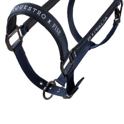 Equestro x FISE Halfter – verstellbares Reithalfter Equestro x FISE Halfter – verstellbares Reithalfter