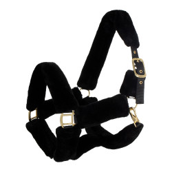 Gepolstertes Nylonhalfter für Pferde – Reitsport Gepolstertes Nylonhalfter für Pferde – Reitsport