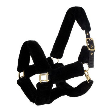 Gepolstertes Nylonhalfter für Pferde – Reitsport Gepolstertes Nylonhalfter für Pferde – Reitsport