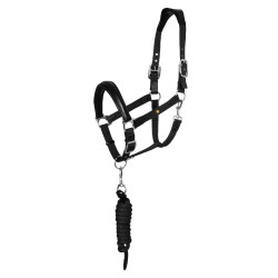 Equestro Halfter fürs Pferd – ergonomisch & robust Equestro Halfter fürs Pferd – ergonomisch & robust