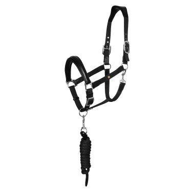 Equestro Halfter fürs Pferd – ergonomisch & robust Equestro Halfter fürs Pferd – ergonomisch & robust