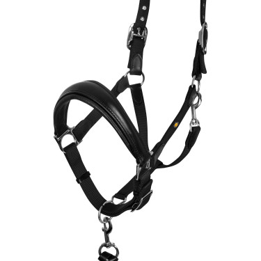 Equestro Halfter fürs Pferd – ergonomisch & robust Equestro Halfter fürs Pferd – ergonomisch & robust