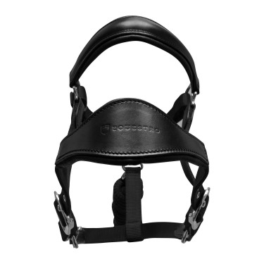 Equestro Halfter fürs Pferd – ergonomisch & robust Equestro Halfter fürs Pferd – ergonomisch & robust