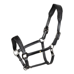Equestro Lederhalfter Diamond – anatomisch fürs Pferd
